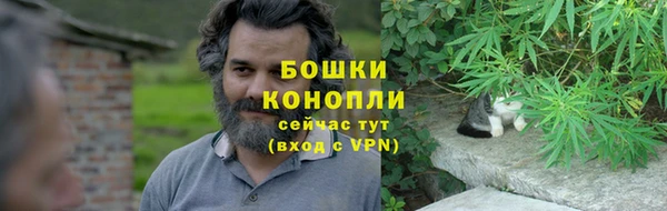 молекула духа Белокуриха