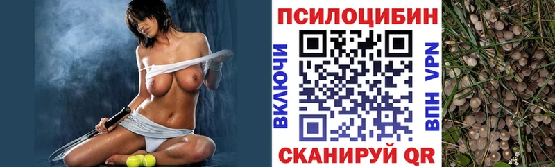 магазин  наркотиков  Донской  Псилоцибиновые грибы прущие грибы 